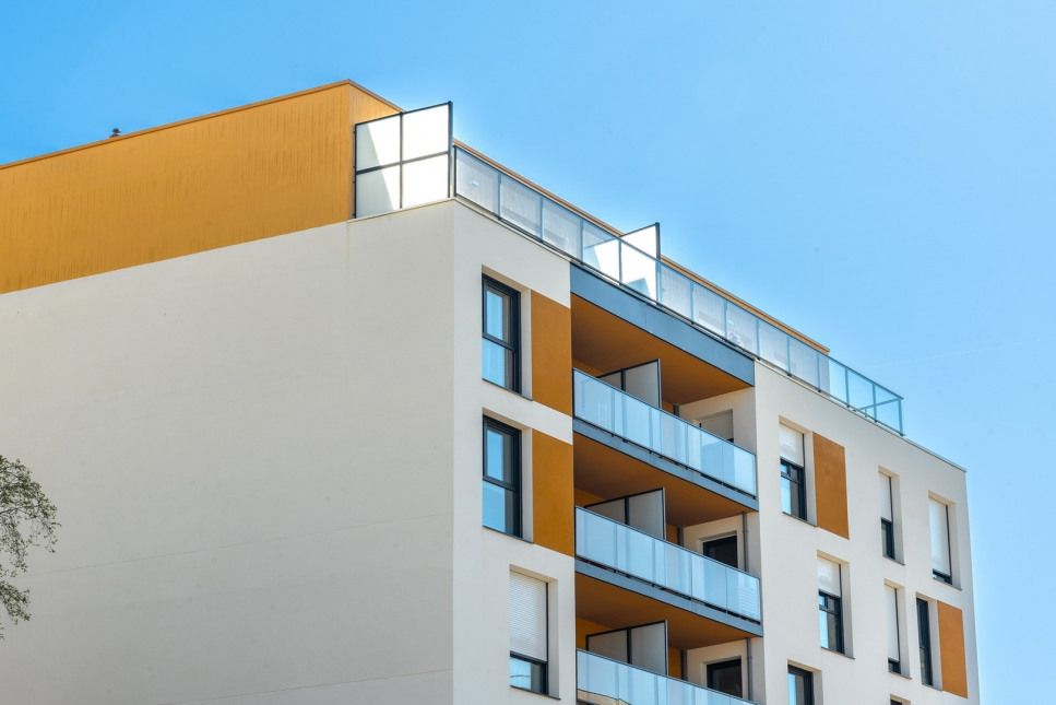 Visuel du programme Rosa alba