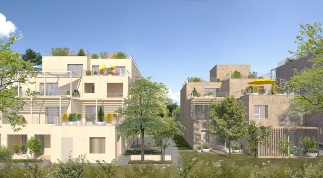 Visuel du programme Rosa parks