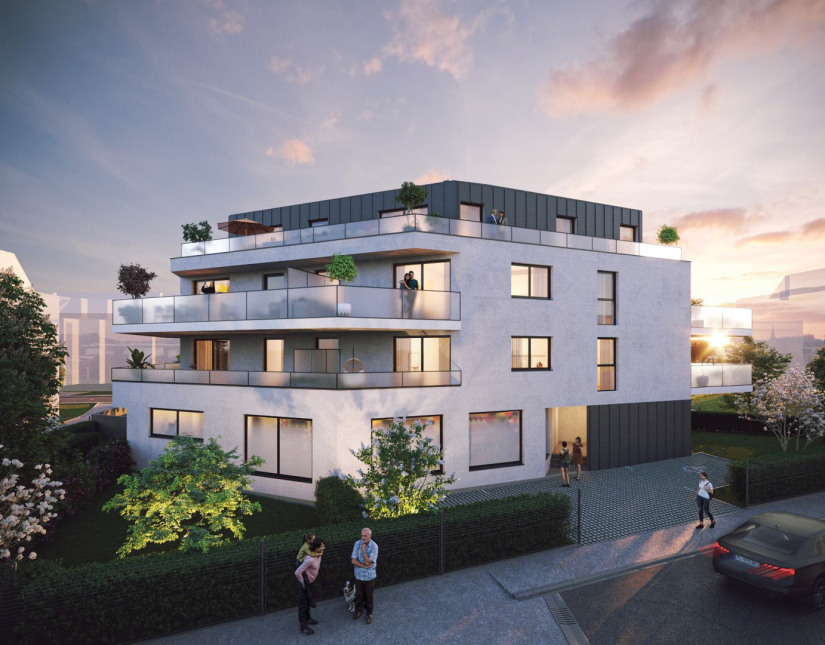 Visuel du programme Serenity