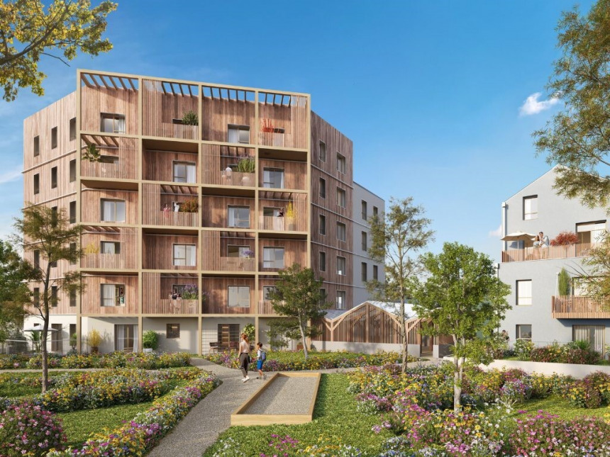 Visuel du programme So wood