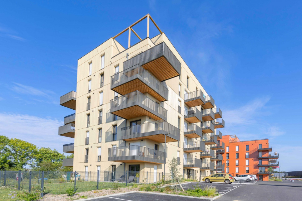 Visuel du programme Summerfield