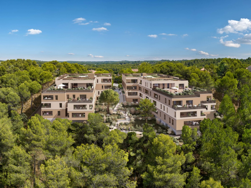 Visuel du programme Sylvea