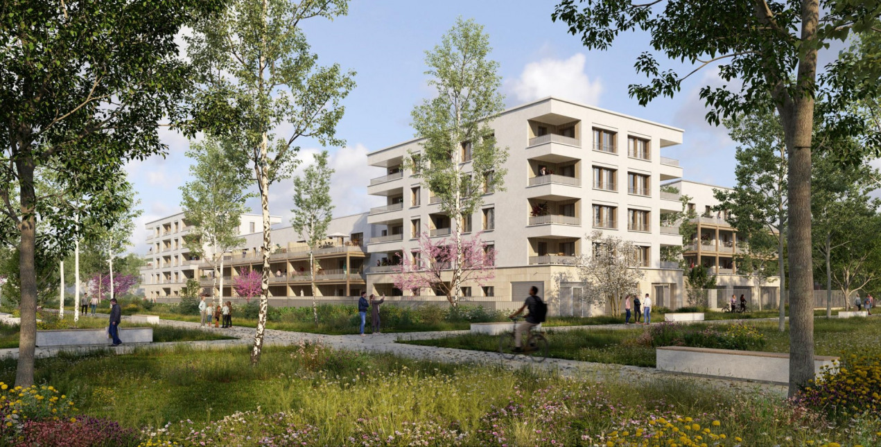 Visuel du programme Symphonie