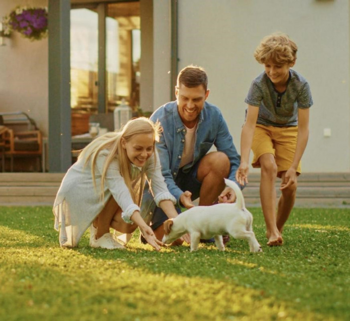 Visuel du programme Terrasses du pin