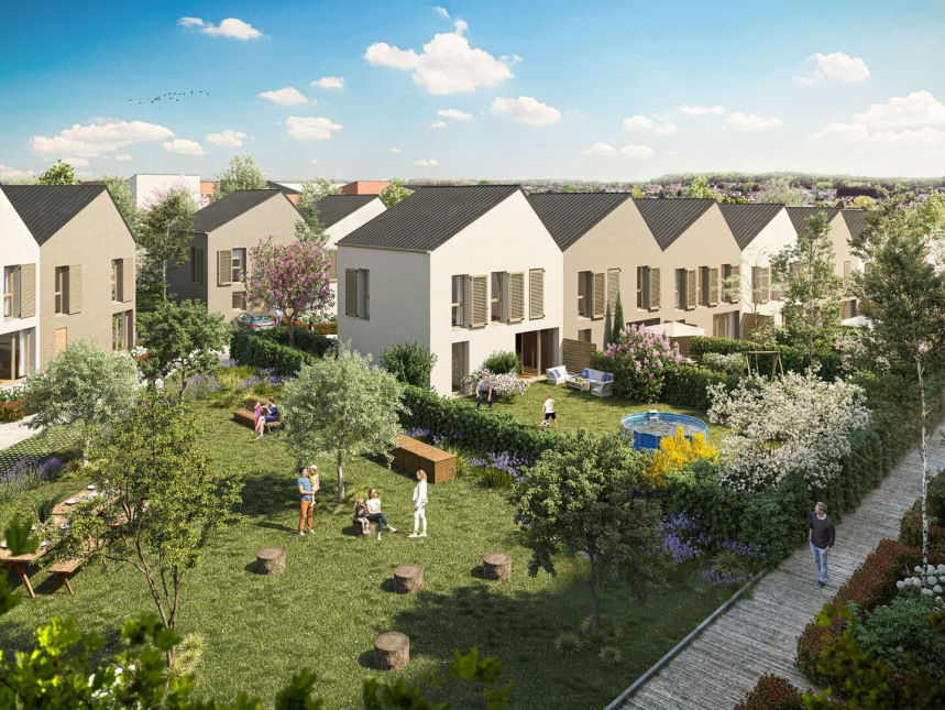 Visuel du programme Topaze