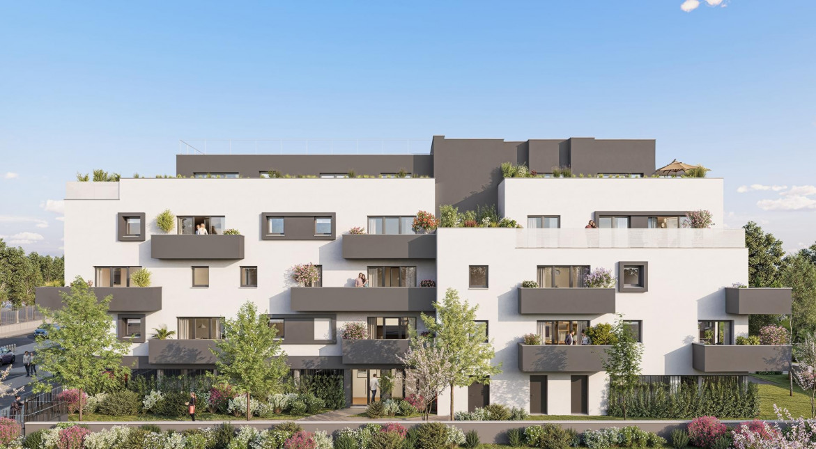 Visuel du programme Villa novéa