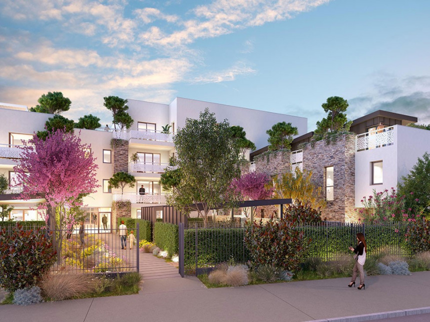 Visuel du programme Virtuoso