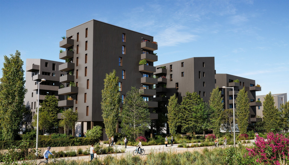 Visuel du programme Yucca e