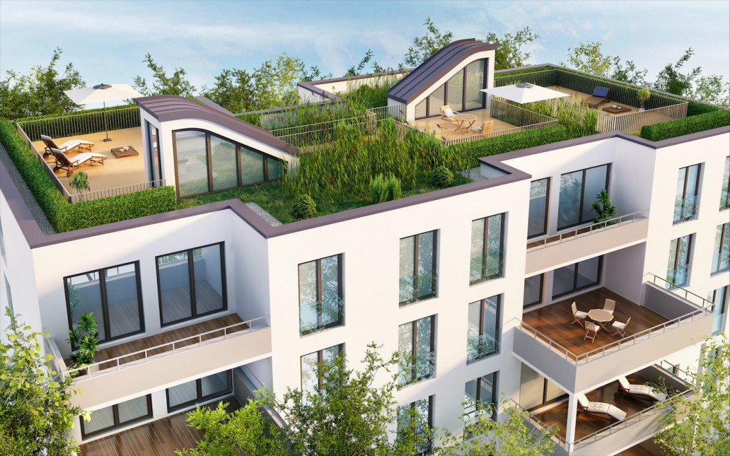 Visuel du programme Zoom pierre